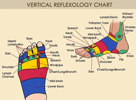 REFLEXOLOGY. content-foot-points